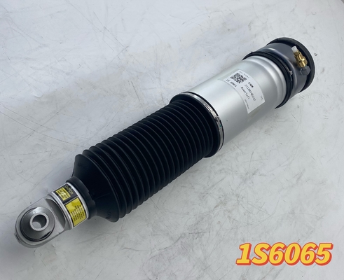 BMW 7' E65 E66 için Doğrudan Değiştirme Arka Hava Süspansiyon Yayı, EDC'siz 02-05 Uyum Tipi