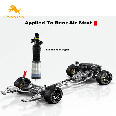 37126791676 BMW 7 Serisi F01-F04 2007-2015 EDC için hava süspansiyonu destek