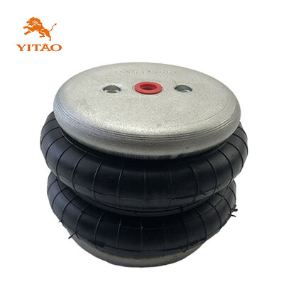 JW 130118J-2 Çift Çemberli Hava Baharı